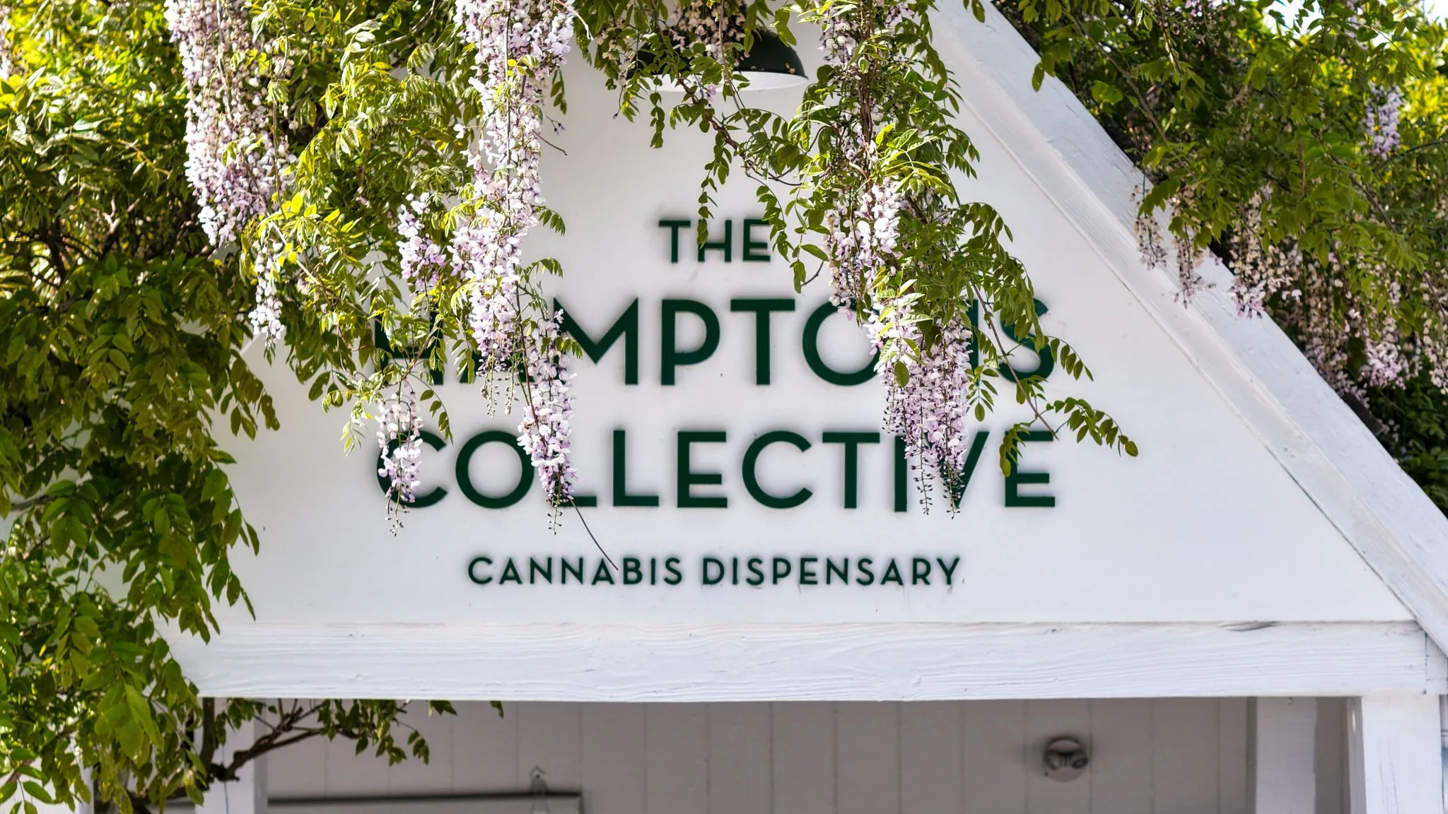 Hamptons Collective Dispensary NYC